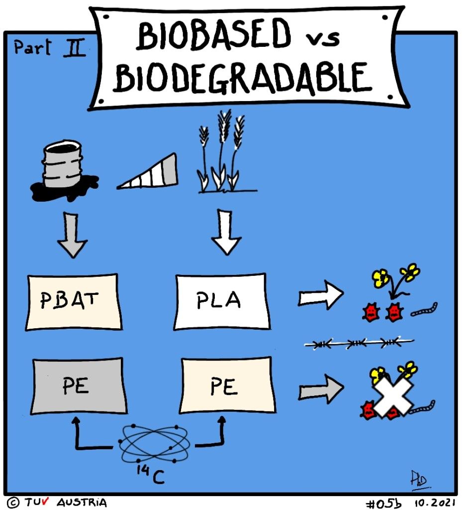 Biobasados y biodegradables son dos conceptos distintos - continuación