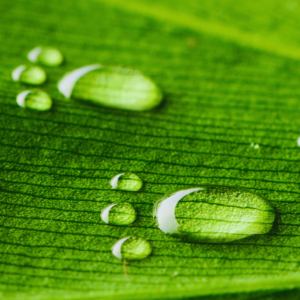 Huella Hídrica y Sostenibilidad | ISO 14046